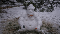 Κακοκαιρία Μηδεία: Δείτε τους καλύτερους και τους... πιο fail χιονανθρώπους της Αττικής (Φωτογραφίες)
