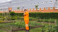 Τα φυτά στις φυλακές μειώνουν τη βία 