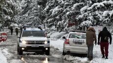 Πέτσας για κακοκαιρία «Μήδεια»: Στην Αττική έπεφτε ένα δέντρο ανά δύο λεπτά