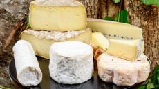 Το πρώτο «Πανεπιστήμιο Τυριού» άνοιξε στην Αυστραλία