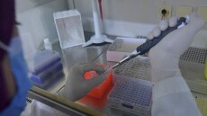 Κλοφαμιζίνη: Το φάρμακο κατά της λέπρας στη μάχη κατά του κορωνοϊού