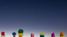 Online έκθεση με έργα του Τζιανφράνκο Γκοργκόνι