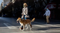 Κορωνοϊός: Γιατί μπορεί να χρειάζεται να εμβολιάσετε το κατοικίδιό σας