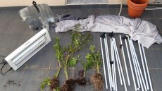 Δράμα: Άντρο καλλιέργειας και διακίνησης κάνναβης σε σπίτι