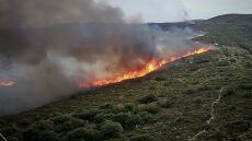 Άνδρος:  «Θα βάλω φωτιά» είχε απειλήσει πρόεδρος κοινότητας διαφωνώντας με τους δασικούς χάρτες