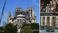 Χίλιες βελανιδιές χιλίων χρόνων για χάρη της Παναγίας των Παρισίων