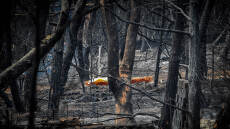 Δίκη για το Μάτι: «Αυτό που νόμιζα ότι ήταν ξύλα που καιγόντουσαν ήταν οι γονείς μου…» - «Μας άφησαν να καούμε»