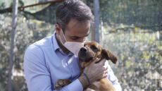 Κυριάκος Μητσοτάκης: Υιοθέτησε σκυλάκι από καταφύγιο που επισκέφθηκε - Δείτε τον υπέροχο «Πίνατ»