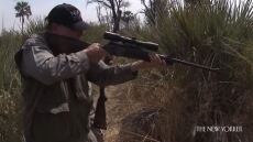 ΗΠΑ: Οργή για το βίντεο με τον επικεφαλής του λόμπι των όπλων να πυροβολεί ελέφαντα