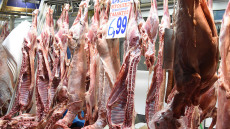 Πάσχα 2025: Πόσο θα κοστίσει φέτος αρνί και κατσίκι, γιατί προβληματίζονται οι κρεοπώλες