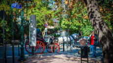 Δήμος Κηφισιάς: Τι απαντά για τα πεζοδρόμια που είναι γεμάτα με κομμένα κλαδιά