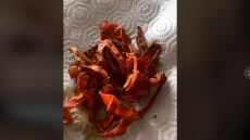 H vegan συνταγή για μπέικον καρότου που έγινε viral 