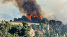 Meteo: Περί τα 71.300 στρέμματα έκαψε η μεγάλη πυρκαγιά στα Γεράνεια