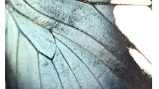 Evripides Art Gallery: Διπλά εγκαίνια με έκθεση ζωγραφικής και φωτογραφίας