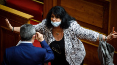 Καρέ-καρέ: Ο «καβγάς» του Λευτέρη Οικονόμου με την Άννα Βαγενά στη Βουλή