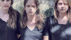 Γιατί οι Άγριες Μέλισσες λέγονται Άγριες Μέλισσες;