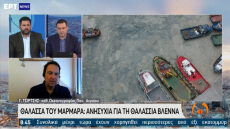  Καθηγητής Ωκεανογραφίας για τη «θαλάσσια βλέννα» στον Μαρμαρά: Δεν «απειλεί» το Αιγαίο