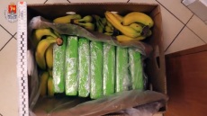 Πολωνία: Φορτίο με μπανάνες και... 160 κιλά κοκαΐνης βρέθηκε σε σούπερ μάρκετ της Βαρσοβίας