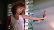 Λίζα Μπέινς: Νεκρή στα 65 της η ηθοποιός - Έπεσε θύμα τροχαίου με εγκατάλειψη