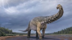 Οι δεινόσαυροι ήταν σε παρακμή πολύ πριν πέσει στη Γη ο μεγάλος αστεροειδής, δείχνει μελέτη