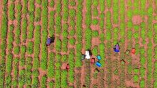 Meet Your Makers: Ένα ταξίδι στη γεύση από πρώτο χέρι 