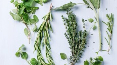 Πώς αποξηραίνουμε τα μυρωδικά; 