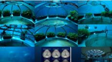 Δημιουργήθηκε το πρώτο υποβρύχιο θερμοκήπιο με φράουλες και μαρούλια