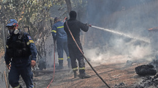 Φωτιά στη Σταμάτα: Συνελήφθη ο μελισσοκόμος - Κατηγορείται για εμπρησμό εξ αμελείας
