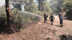 Φωτιά στη Σταμάτα - Αρχηγός Πυροσβεστικής: Καλύτερη η εικόνα 