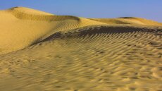 Η άγνωστη ανθρώπινη φυλή που ζούσε στην «πράσινη Σαχάρα» πριν από 14.000 χρόνια