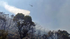 Φωτιά στο Παγγαίο: Τέθηκε υπό έλεγχο 