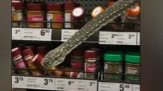 Φίδι 3 μέτρων έκανε βόλτες στα ράφια με τα μπαχαρικά ενός σούπερ μάρκετ!