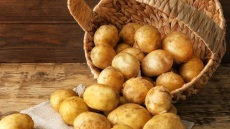 Πώς αποθηκεύουμε σωστά τις πατάτες