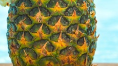 Φτιάχνουμε στο σπίτι τέλεια Piña Colada μέσα σε ανανά!