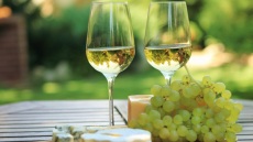 Πώς επηρεάζει η κλιματική αλλαγή την παραγωγή κρασιού παγκοσμίως