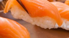 Εστιατόριο στη Θεσσαλονίκη σερβίρει σούσι για... σκύλους