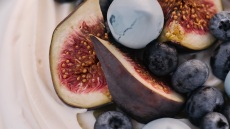 Πάβλοβα αλά ελληνικά!