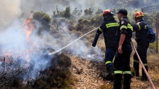 Φωτιά στη Φυλή κοντά στο γήπεδο του Θρασυβούλου