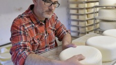 Για το νόστιμο τυρί φταίει το χορτάρι