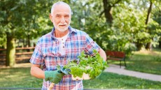 Νόσος Αλτσχάιμερ: Το πασίγνωστο αρωματικό βότανο που μας προστατεύει