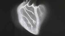 Παγκόσμια πρεμιέρα για την ταινία «Europa» 80 χρόνια μετά την κατάσχεσή της από τους Ναζί