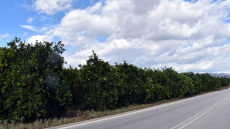 Βελτιωμένος ο καιρός την Κυριακή - Πού θα σημειωθούν βροχές