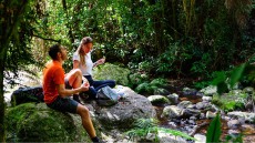 Το φυσικό φάρμακο που ρίχνει την πίεση και μειώνει το άγχος