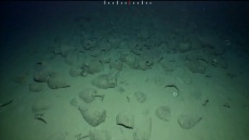 Το ναυάγιο στο στενό Κυθήρων-Νεάπολης αποκαλύπτει σταδιακά τα μυστικά του - Δείτε βίνετο