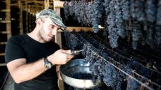 Ο παραγωγός από τη Νεμέα που αποξηραίνει σταφίδα στη σκιά