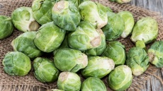 Λαχανάκια Βρυξελλών: Τα πάντα για το baby λαχανικό του χειμώνα