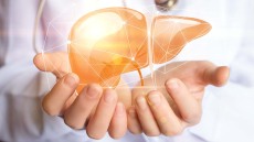 Λιπώδες ήπαρ: Οι τρεις σιωπηλοί εχθροί του ήπατος – Ποιοι πρέπει να προσέχουν περισσότερο