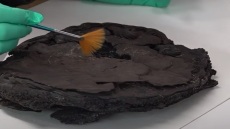 Βρέθηκε κέικ 79 χρόνων!