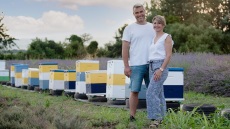 Η Κατερίνα και ο Βασίλης παράγουν βιολογικό μέλι λεβάντας στη Δράμα