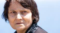 Κομάντα και Δράκοι: Η Βενετία είναι απαρηγόρητη που της πήραν τον Ντόντο